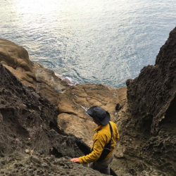 地磯から肝ぱんカワハギとイシダイ